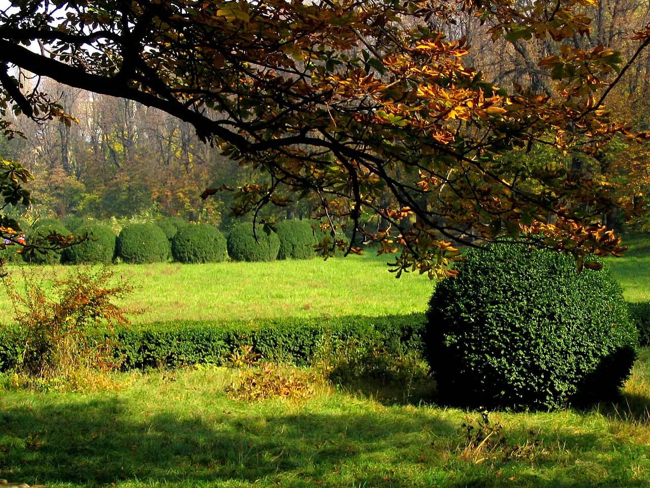 Bucharest Botanical Garden: Glasshouses and How to Visit