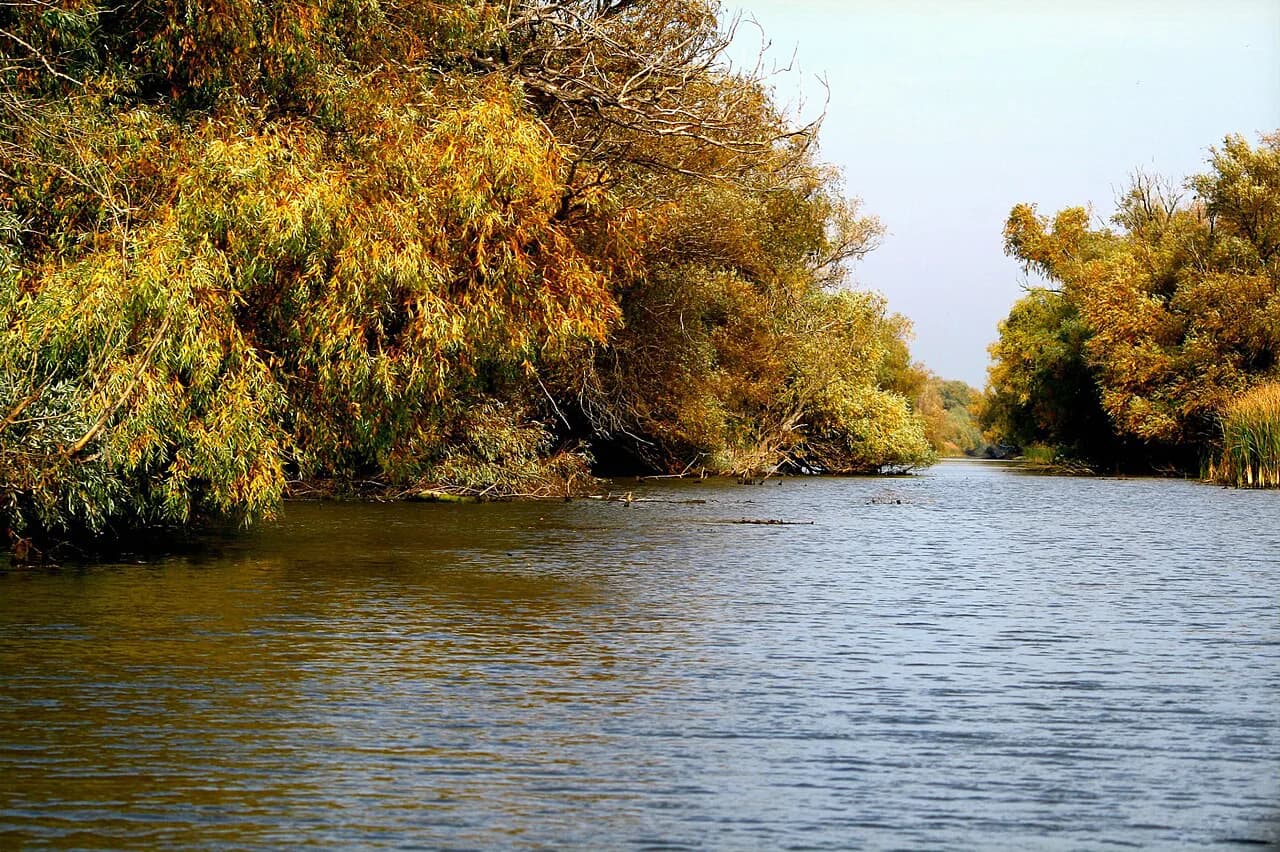 Danube Delta Tours: Day Boats, Multi-Day Cruises and Birding Trips