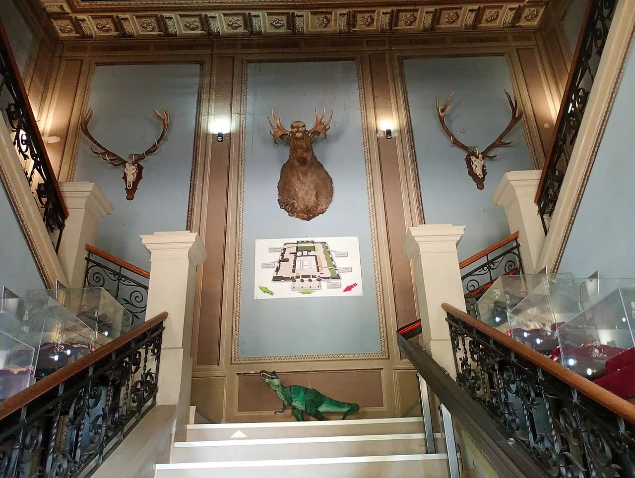 Natural History Museum Sibiu: What to Expect on a Visit
