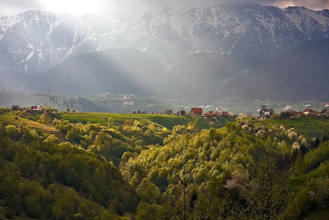 Romania National Parks: Which to Visit and What to Expect