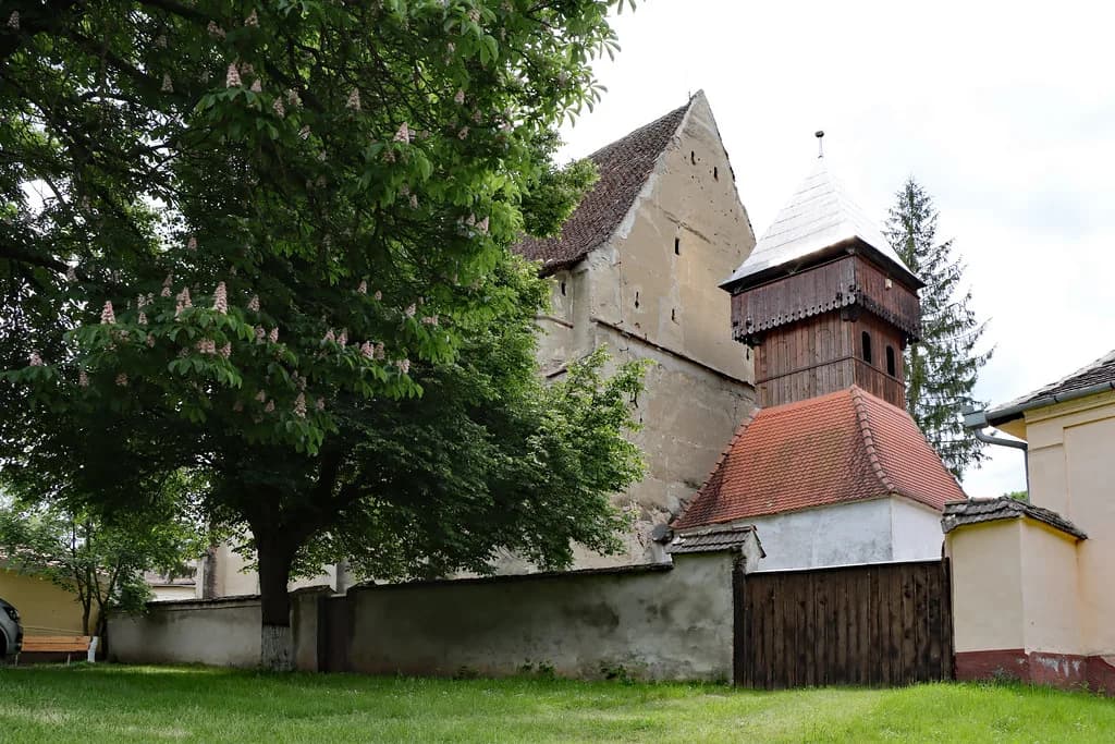 Transylvania Tours: How to Choose Between Group, Private and Escorted Trips