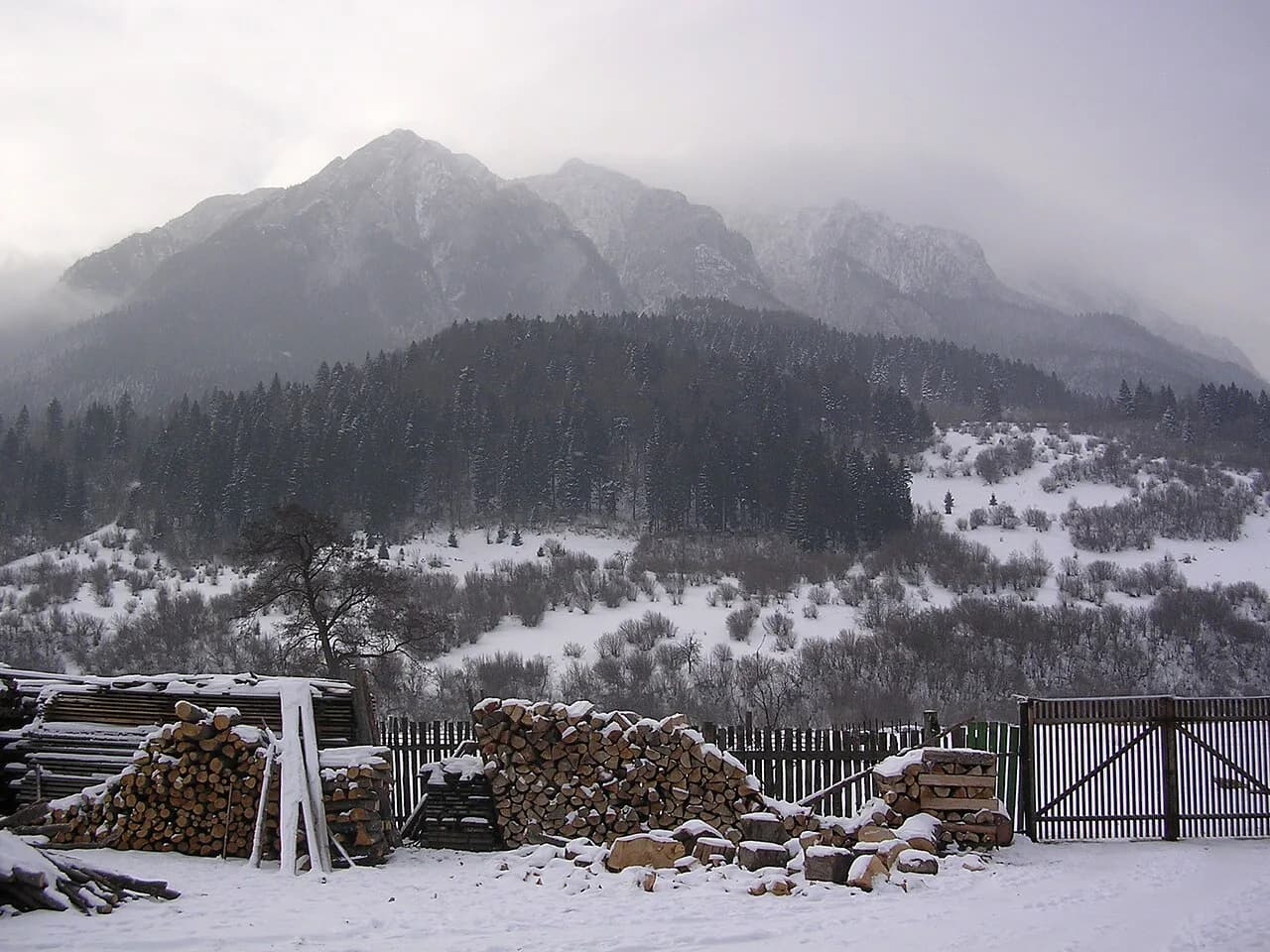 Zărnești, Romania: Piatra Craiului, the Bear Sanctuary and How to Visit