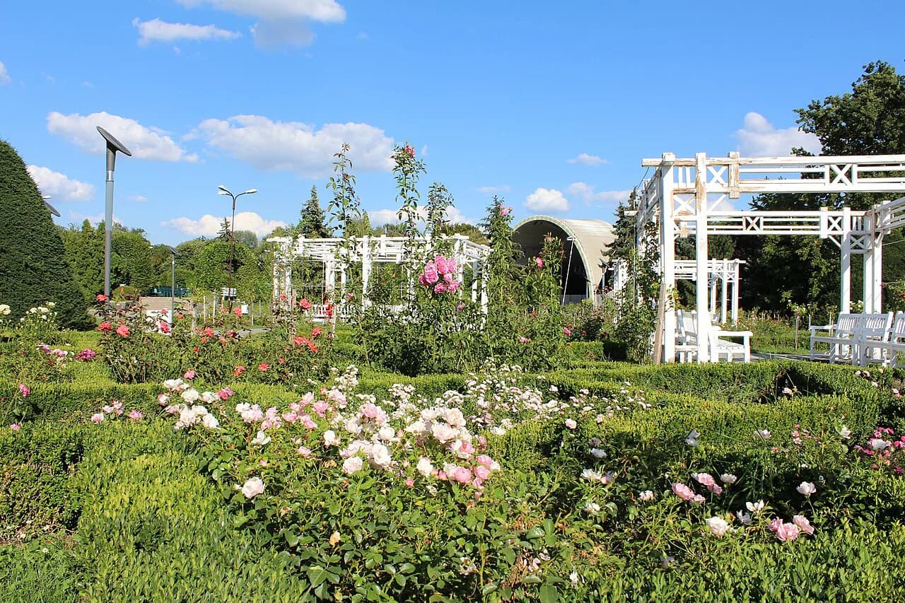Roses Park (Parcul Rozelor), Timișoara: What to Expect