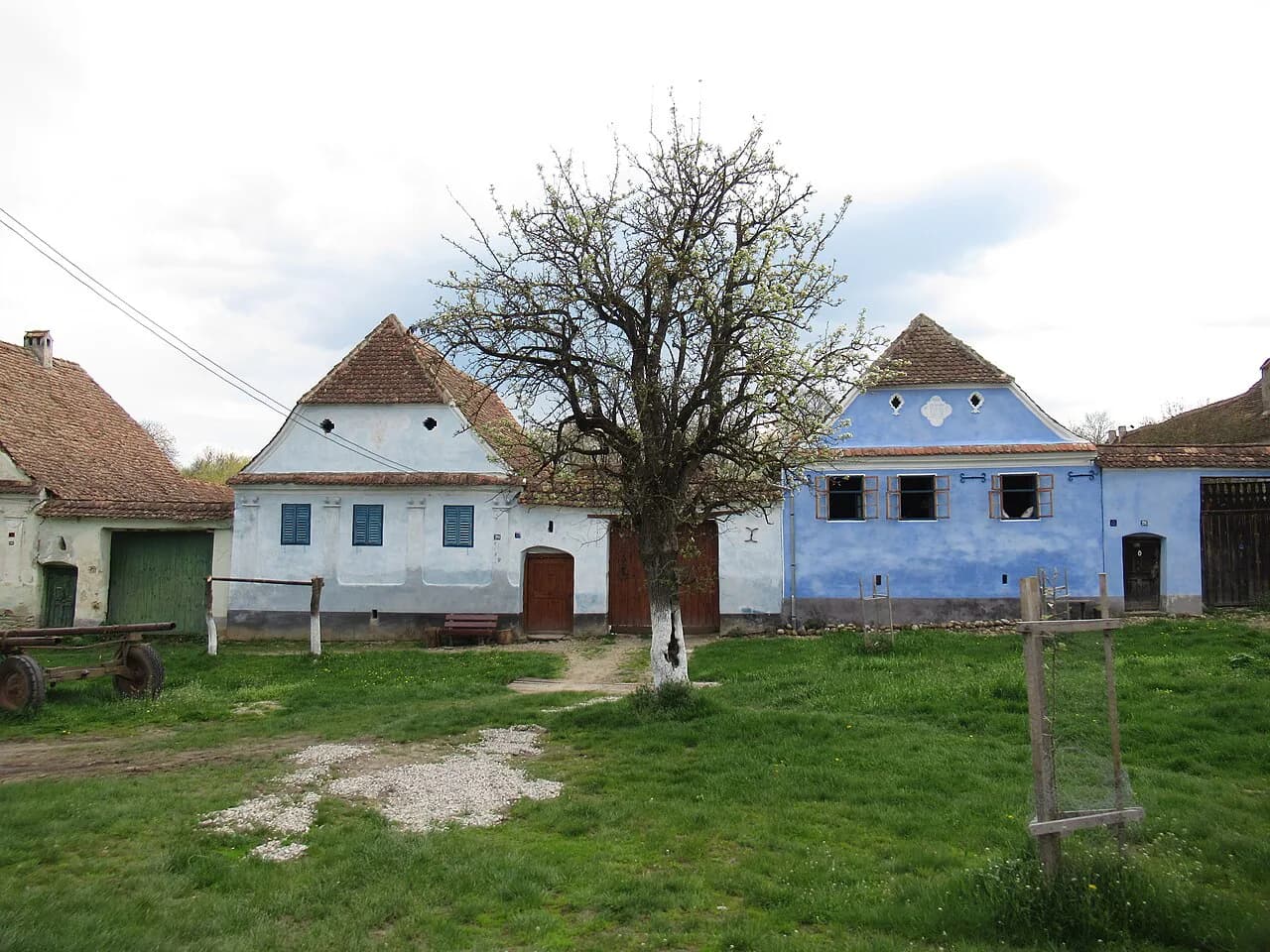 Viscri, Romania: The Fortified Church and Village Guide