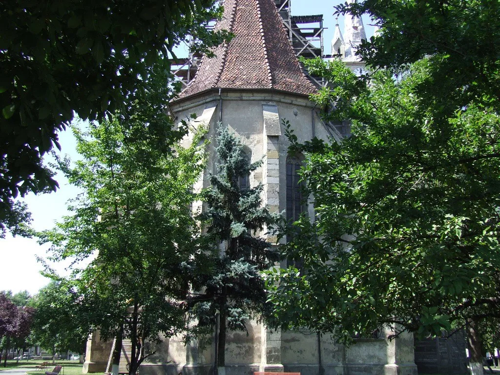 The tower of the Evangelical Church among trees, Bistrița.