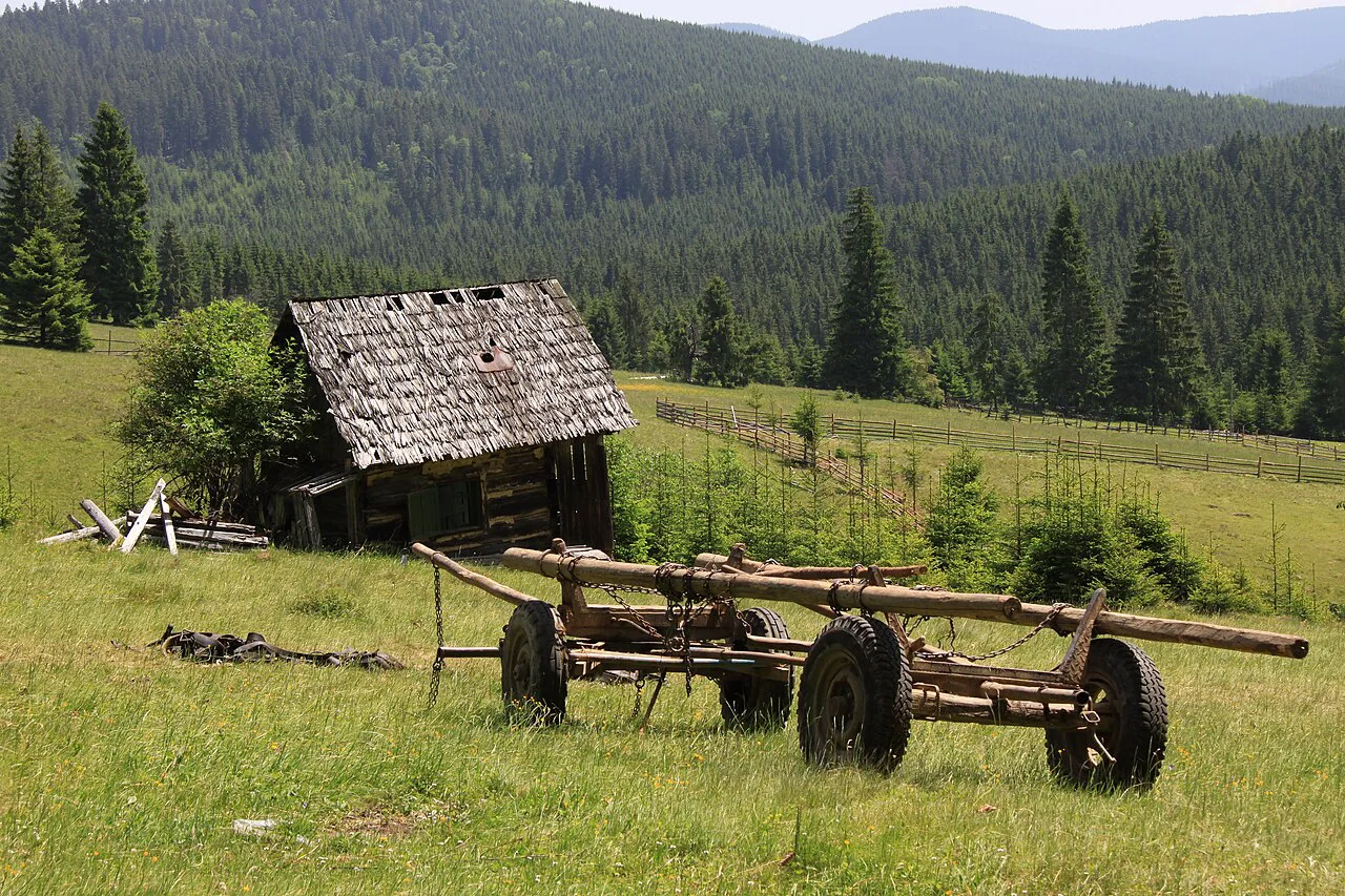 Meadows and forest at Piatra Fântânele on the Tihuța Pass.