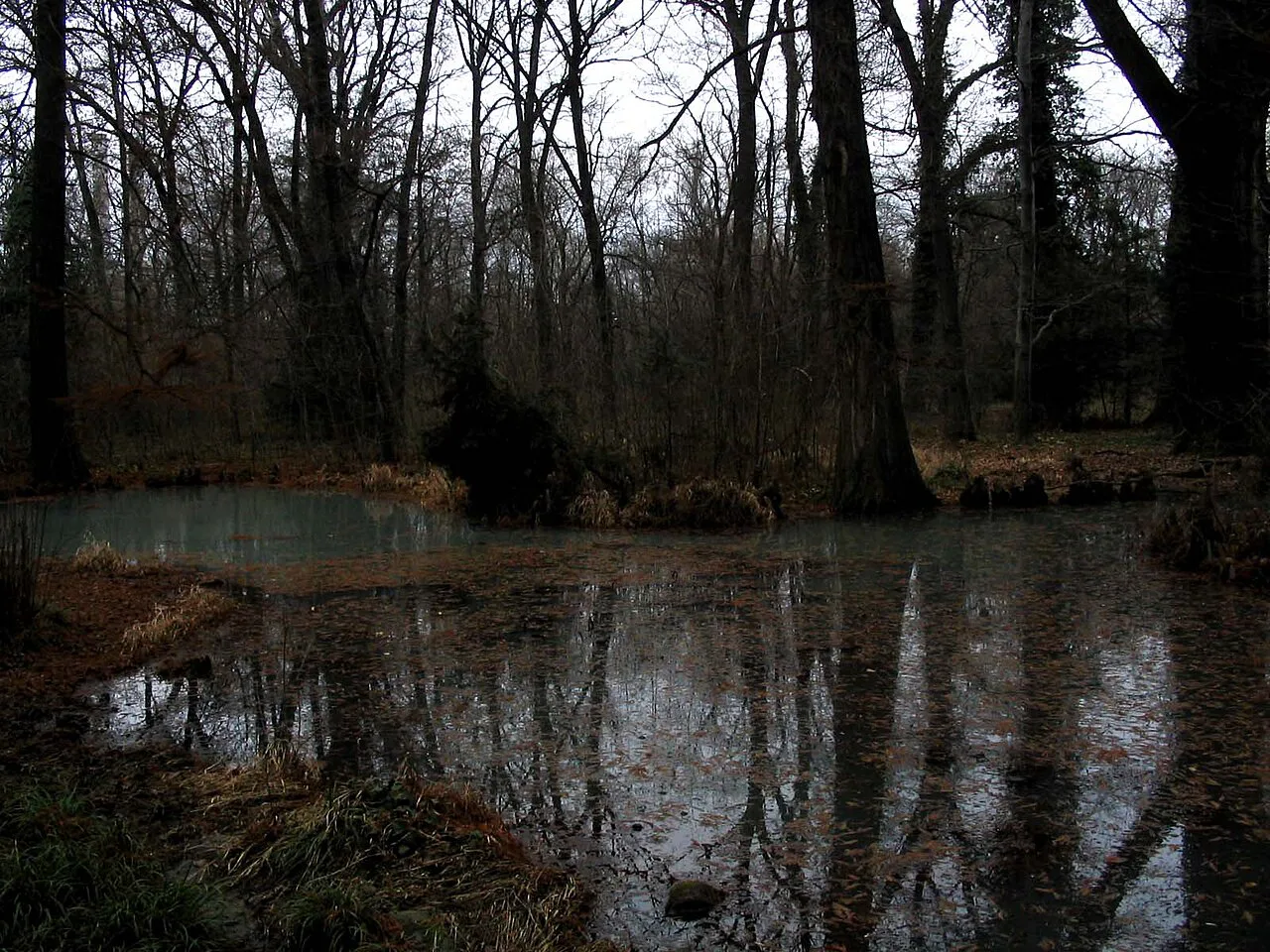 The lake in the Bucharest Botanical Garden in autumn.