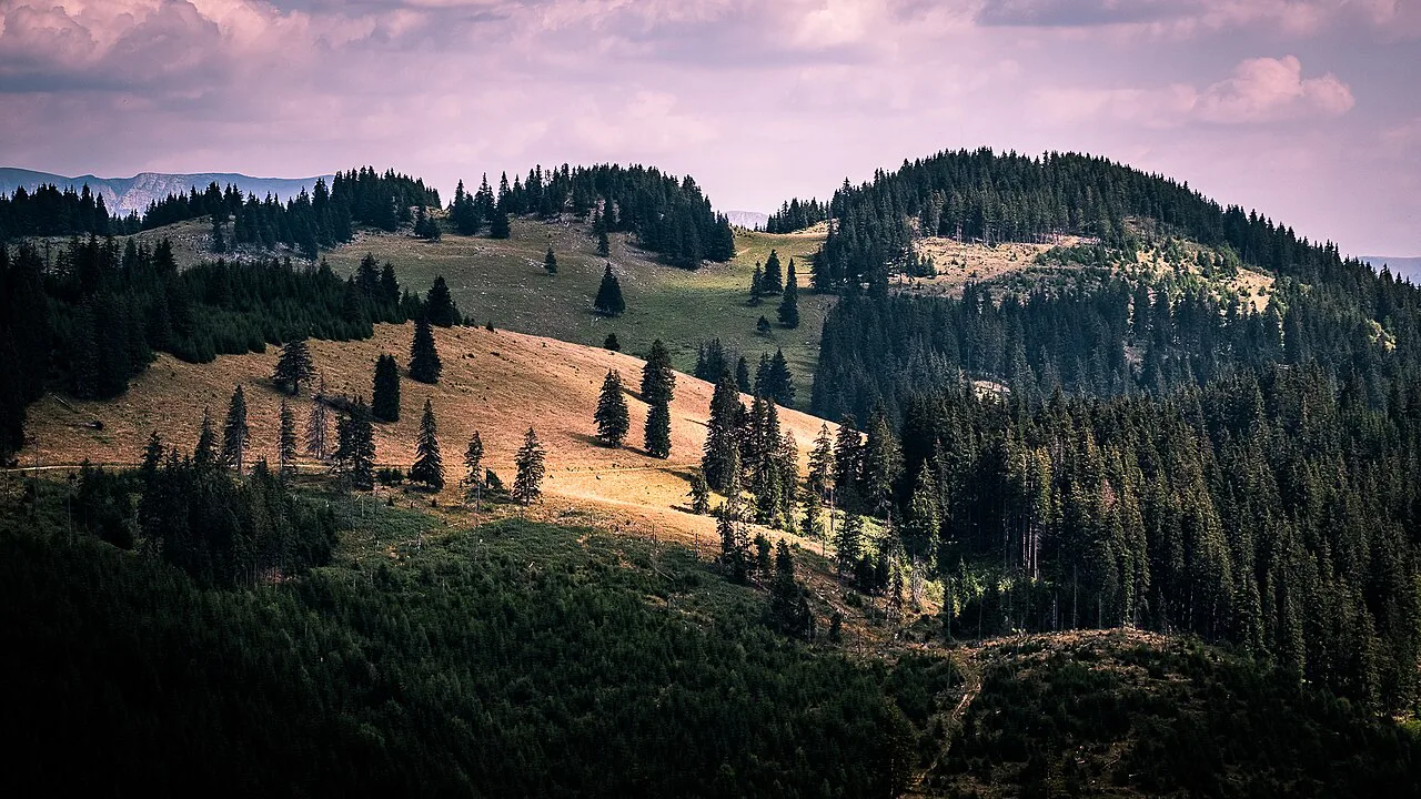 Forested hills of Piatra Craiului in the Southern Carpathians.