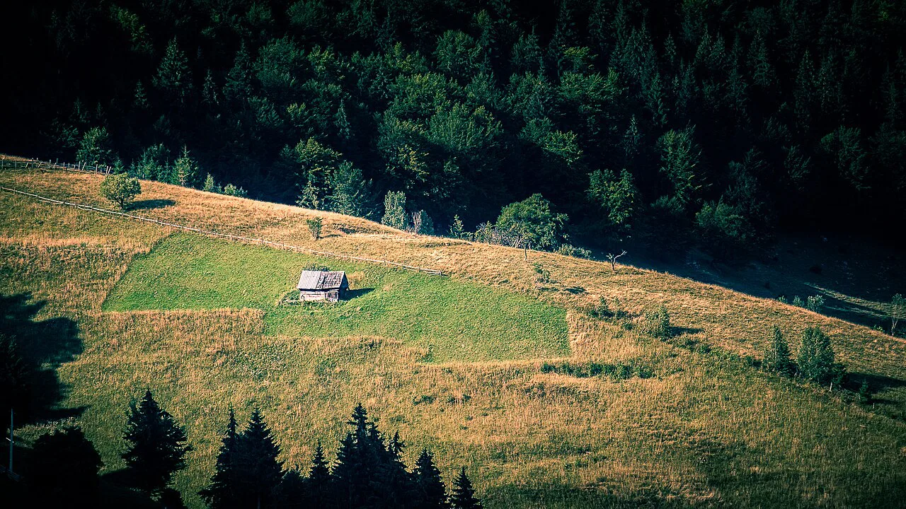 Evening light on a mountain meadow in Piatra Craiului National Park.