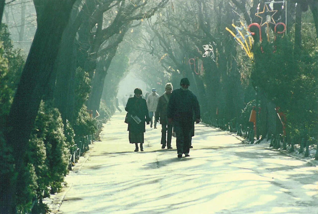 A winter promenade in Cișmigiu Gardens, Bucharest.