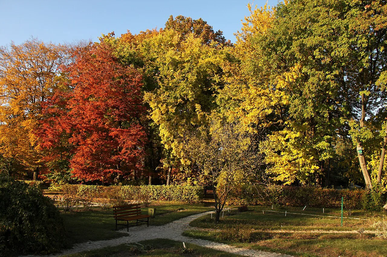 Autumn colour in the Botanical Garden, Cluj-Napoca.