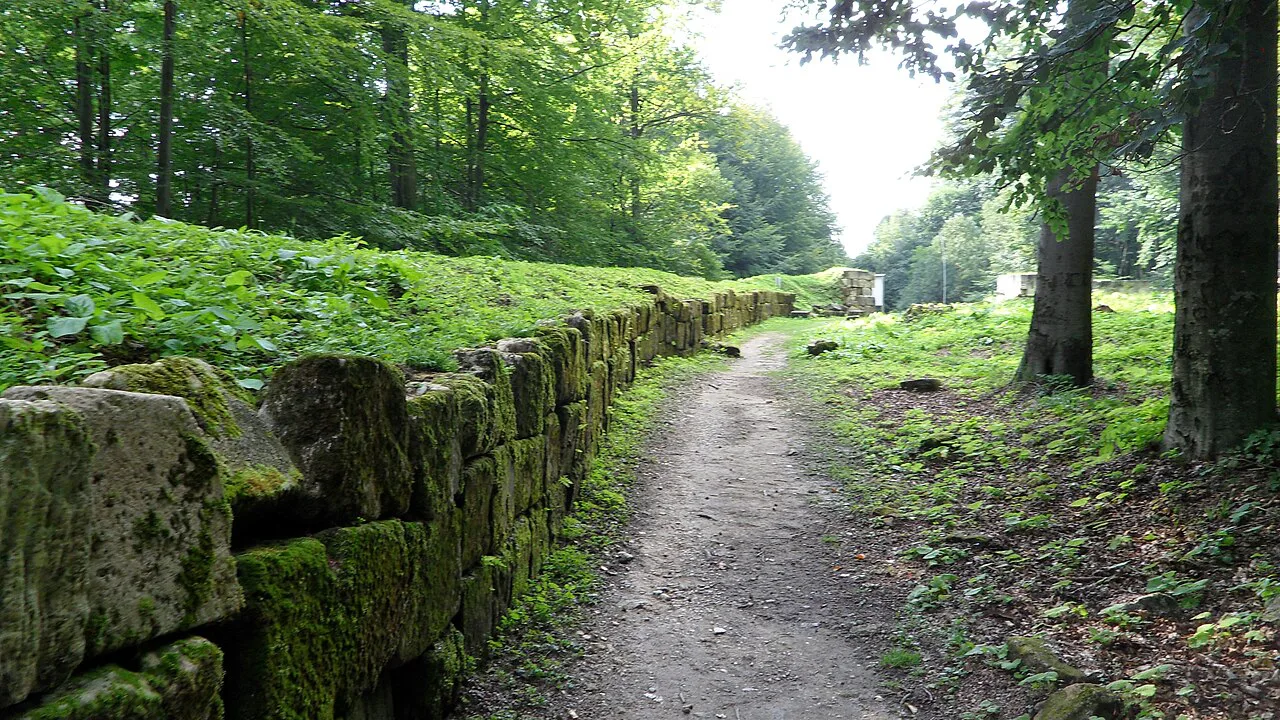 Dacian wall beside the path at Sarmizegetusa Regia.