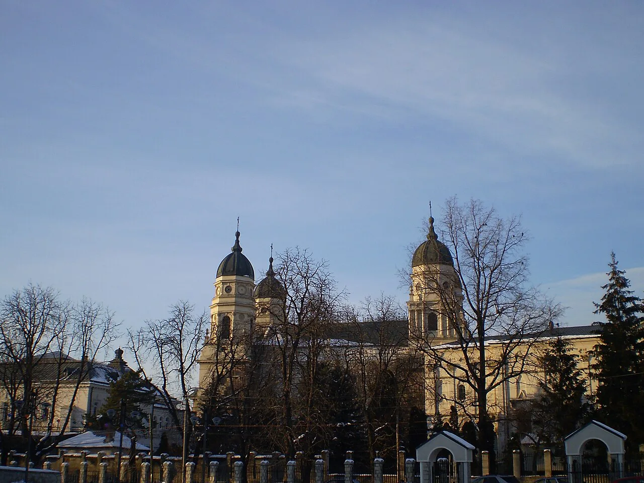 The Metropolitan Cathedral seen through winter trees, Iași.