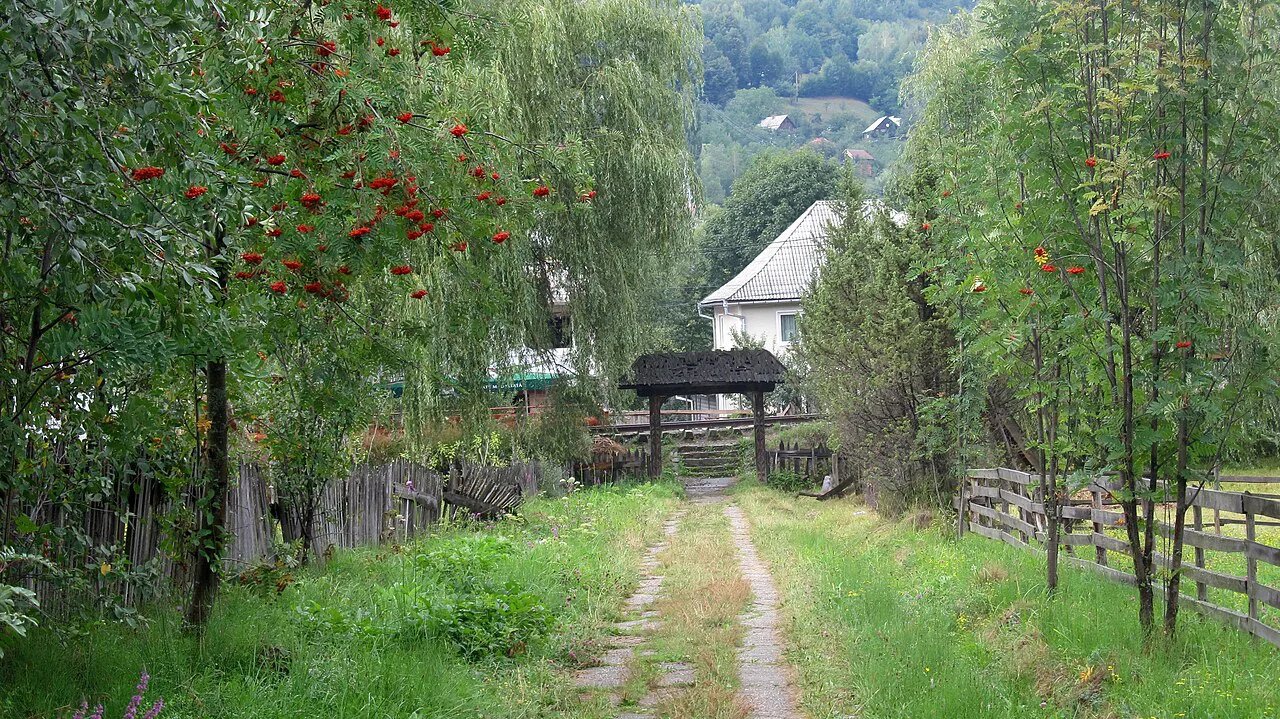 Wooden gate at the end of a lane in Moisei, Maramureș.