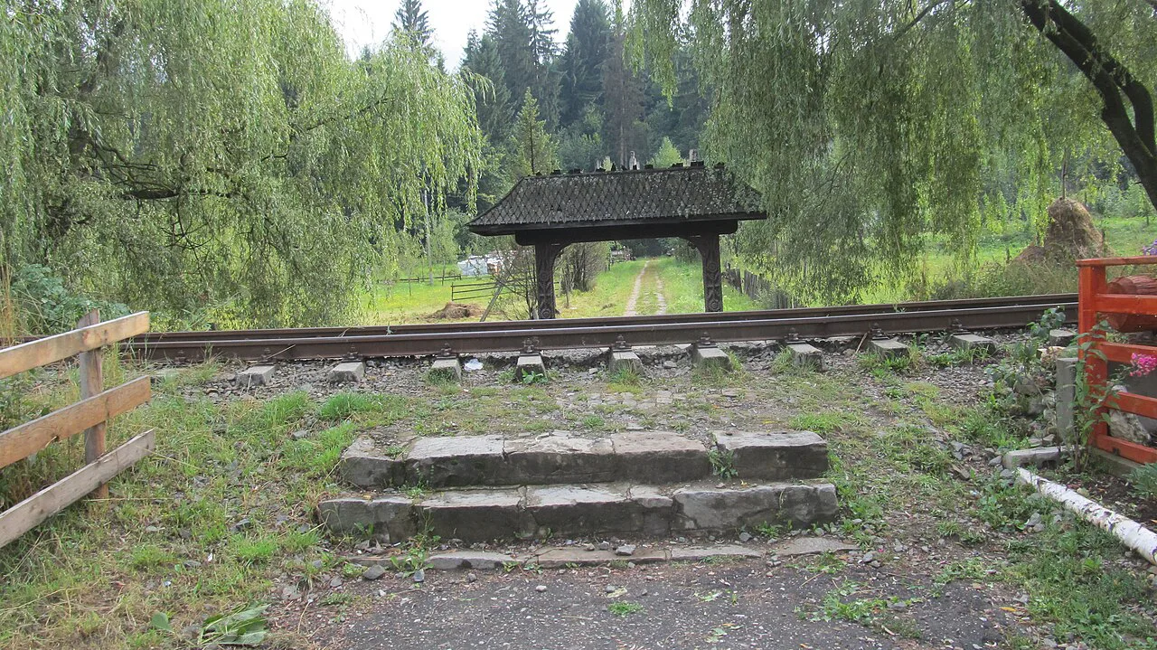 Wooden gate above stone steps in Moisei, Maramureș.