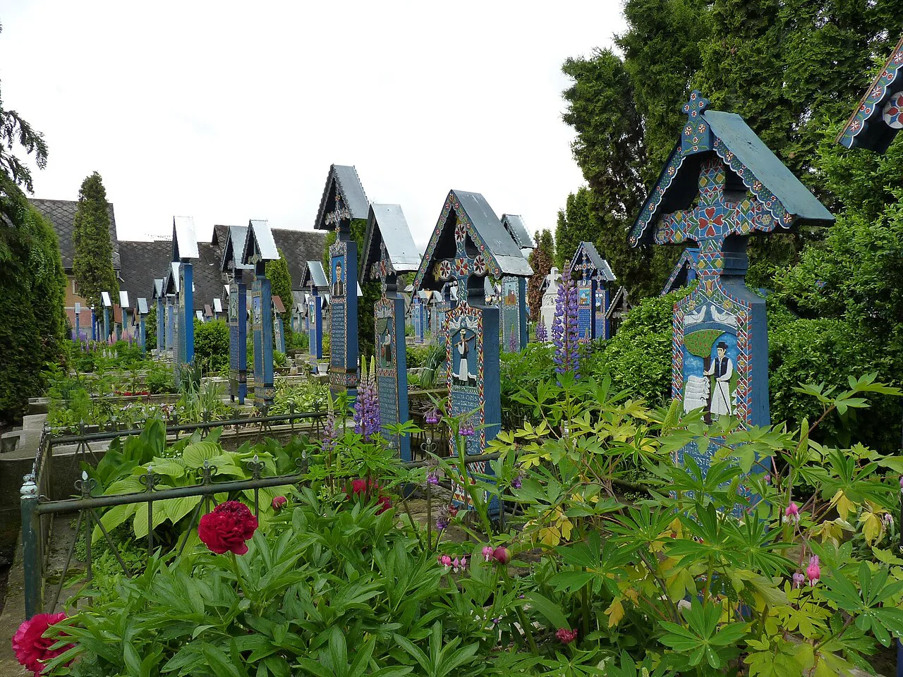 Painted crosses among greenery at the Merry Cemetery in Săpânța.