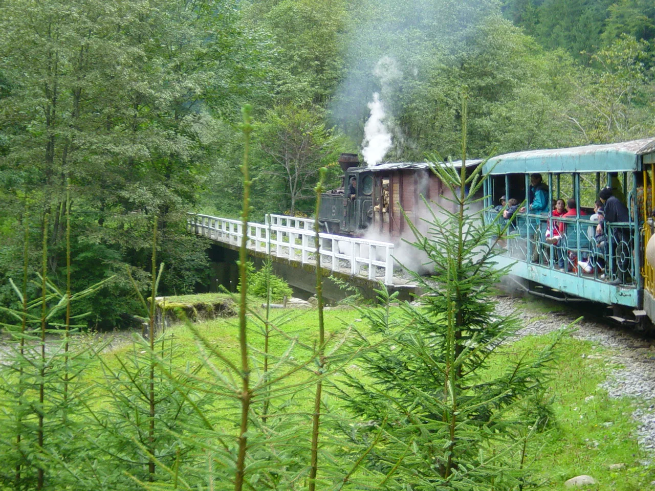 Mocănița steam train in the Vaser Valley near Vișeu de Sus.