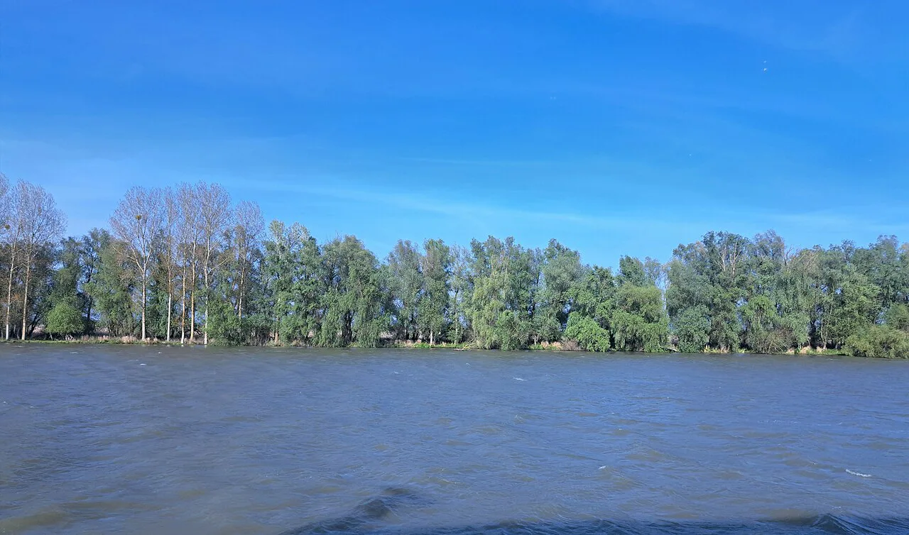 The Sfântu Gheorghe branch of the Danube at Murighiol.