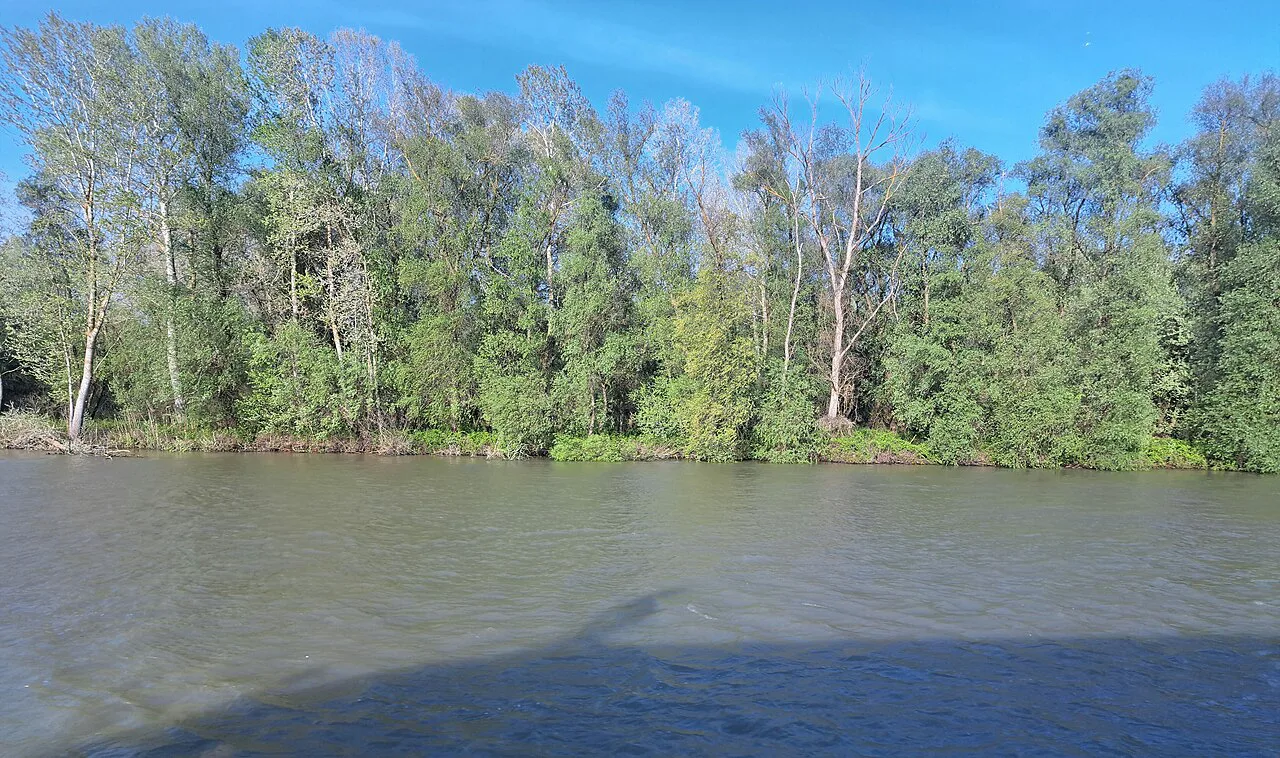 The Sfântu Gheorghe branch of the Danube at Murighiol.