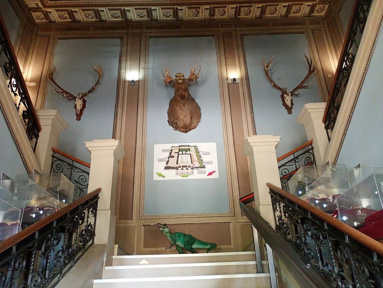 The staircase of the Natural History Museum, Sibiu.