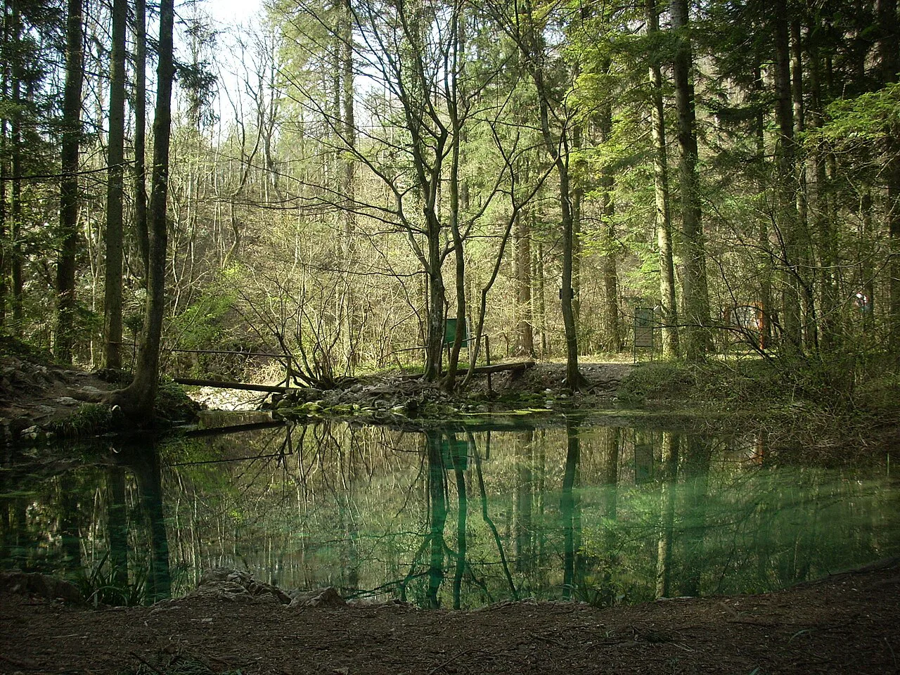 Ochiul Beiului lake in the forest.