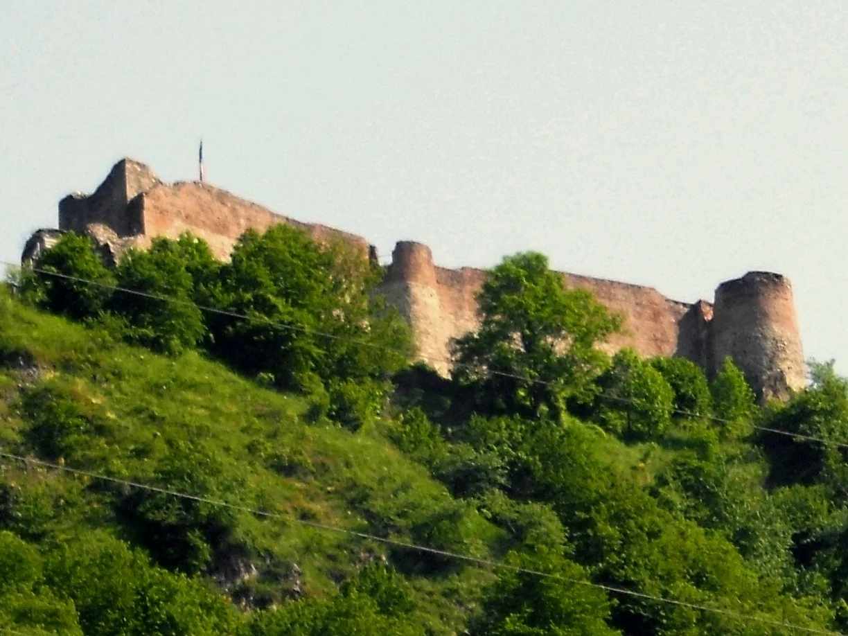 Ruins of Poienari Citadel on a forested ridge.