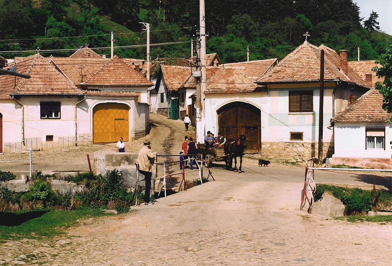 Street of houses in Rășinari.