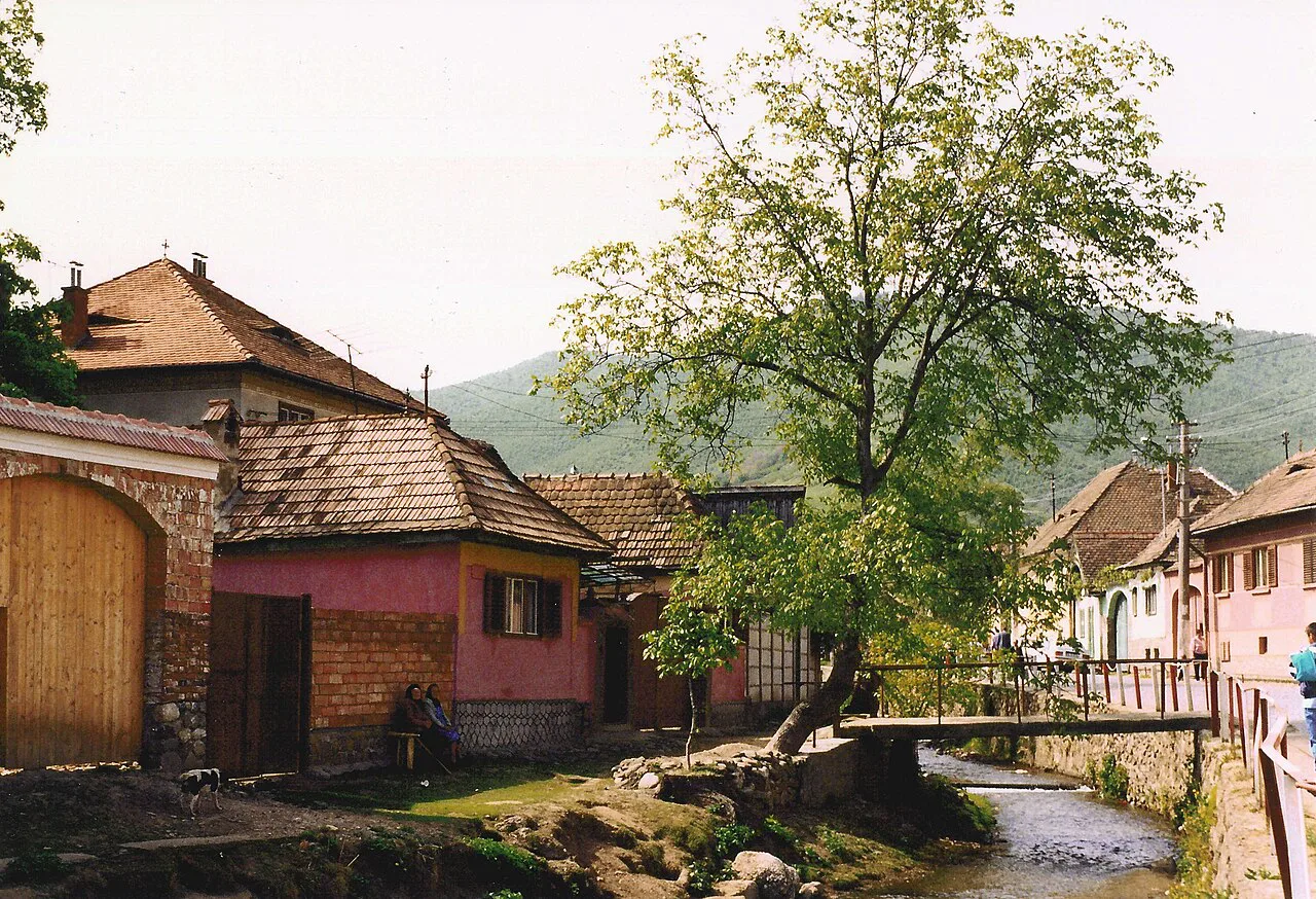 Houses beside a stream in Rășinari.
