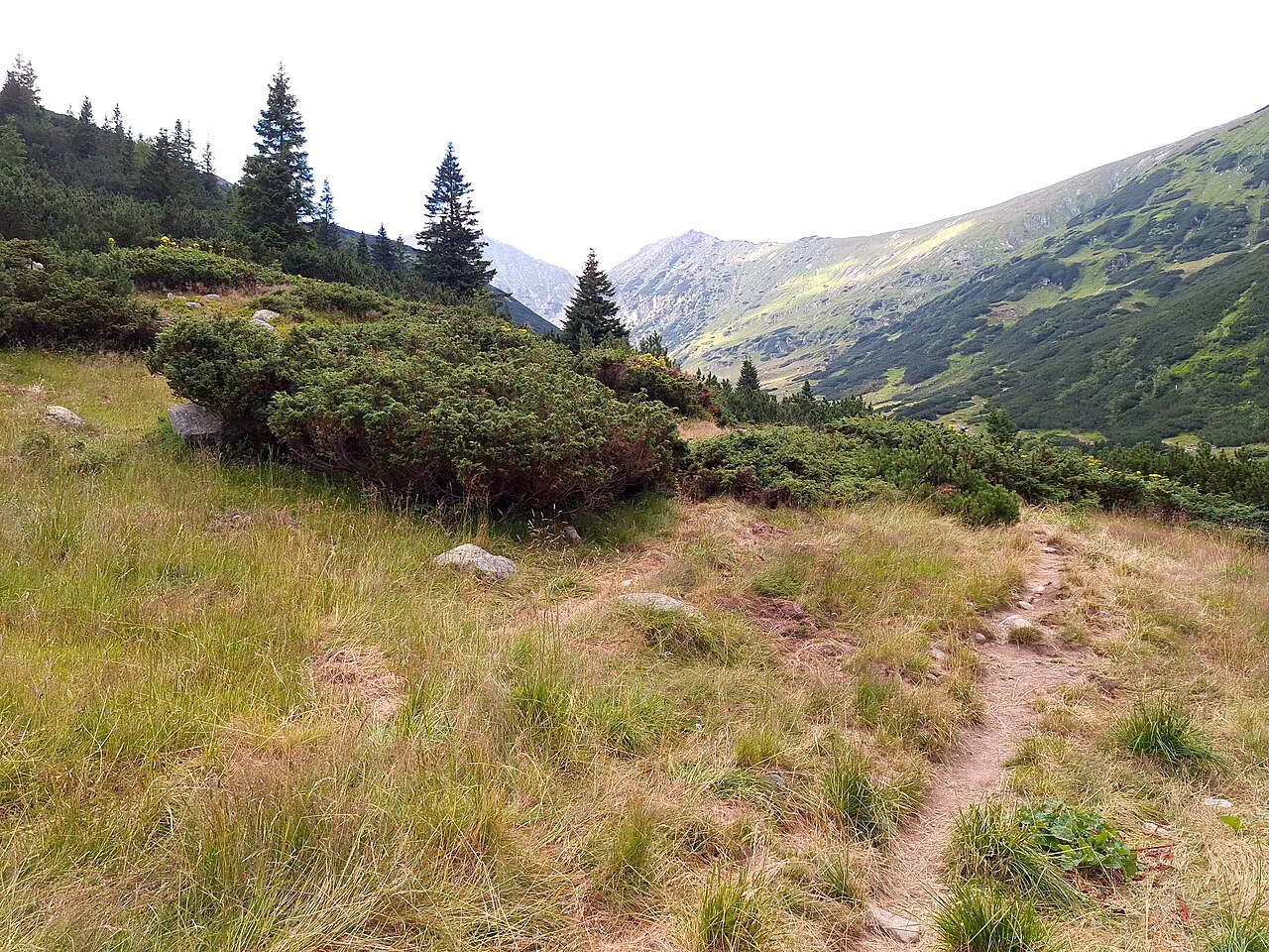 A mountain valley near Lake Bucura, Retezat Mountains.