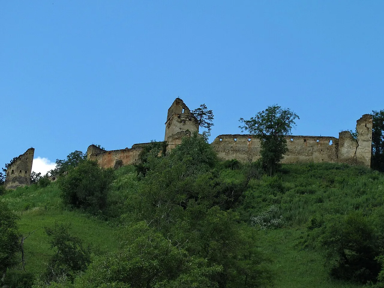 Ruined walls of the Saschiz refuge citadel on its hilltop.