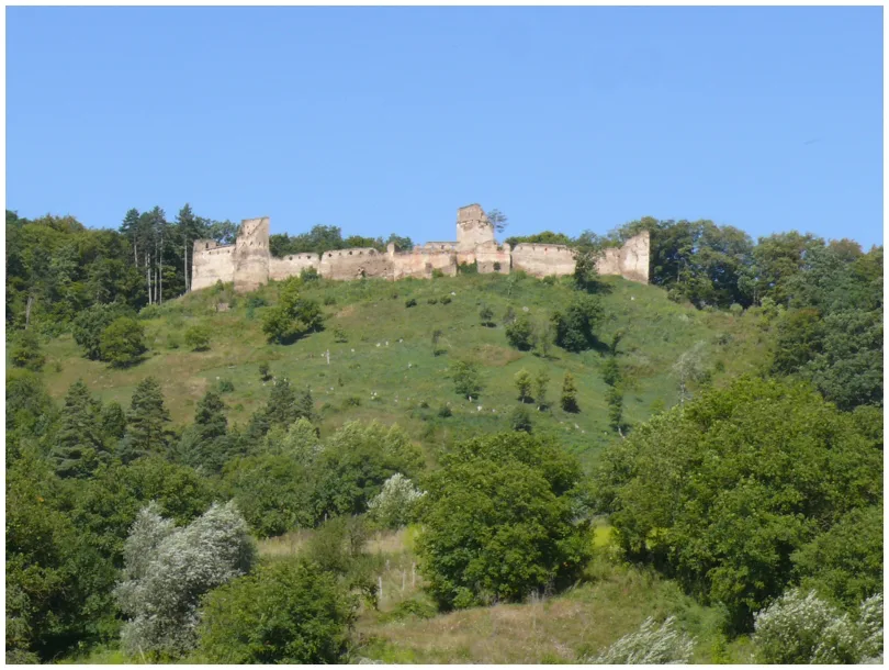 The Saschiz refuge citadel on its wooded hill.