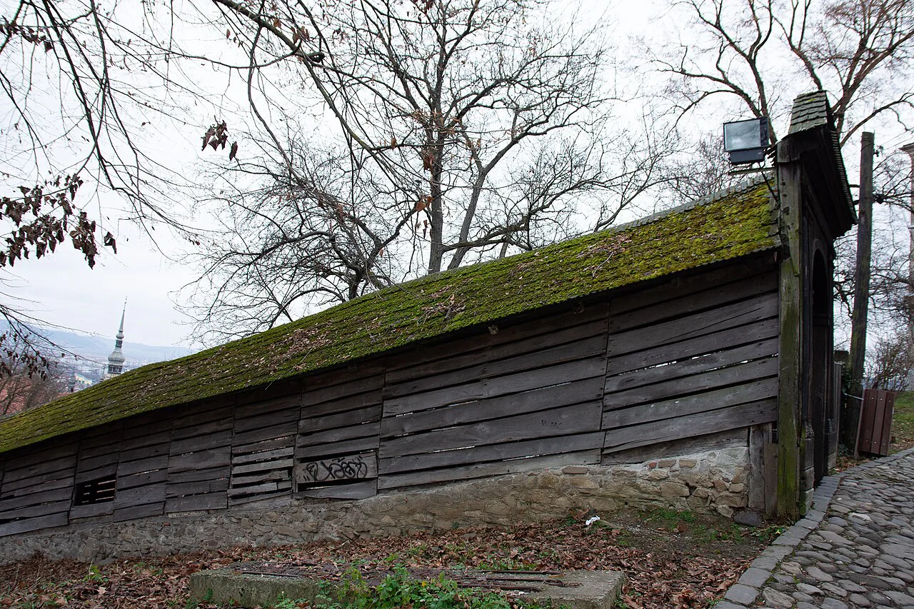 Moss-covered roof of the Scholars' Stairs in Sighișoara.