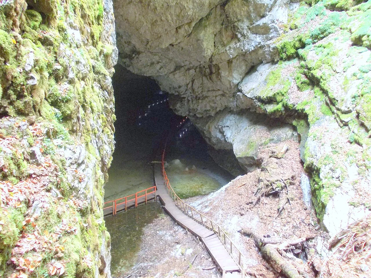 Rocky entrance shaft of Scărișoara Ice Cave.