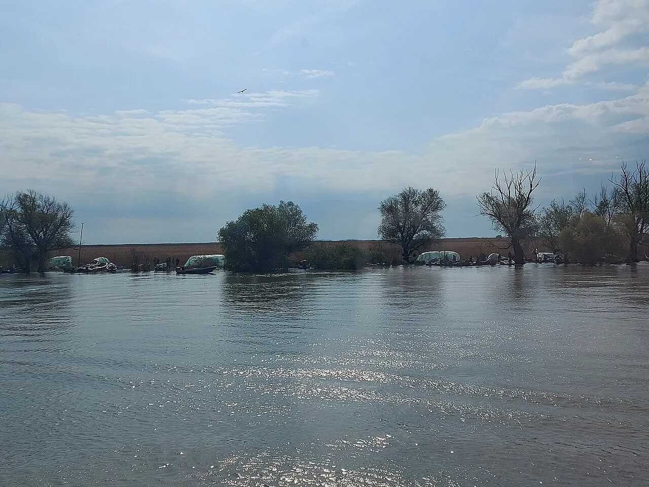 The Sfântu Gheorghe arm of the Danube in the Danube Delta.