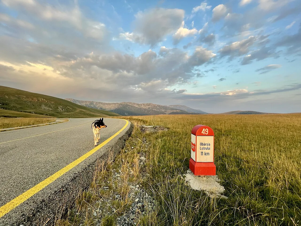 Kilometre marker on the Transalpina near Urdele Pass.