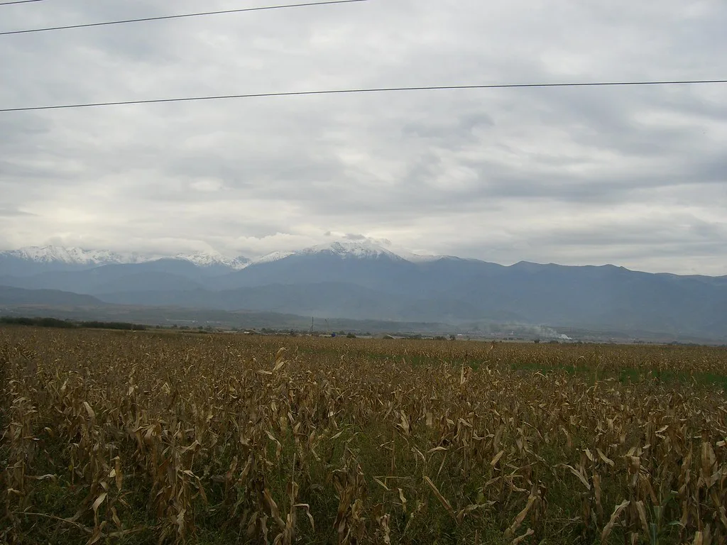 Farmland below the Carpathians in Transylvania.