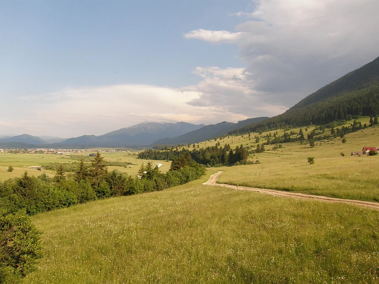 Meadows near Zărnești.